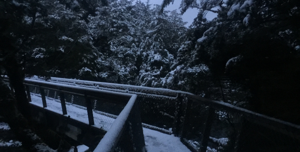 Snow-covered River Crossing